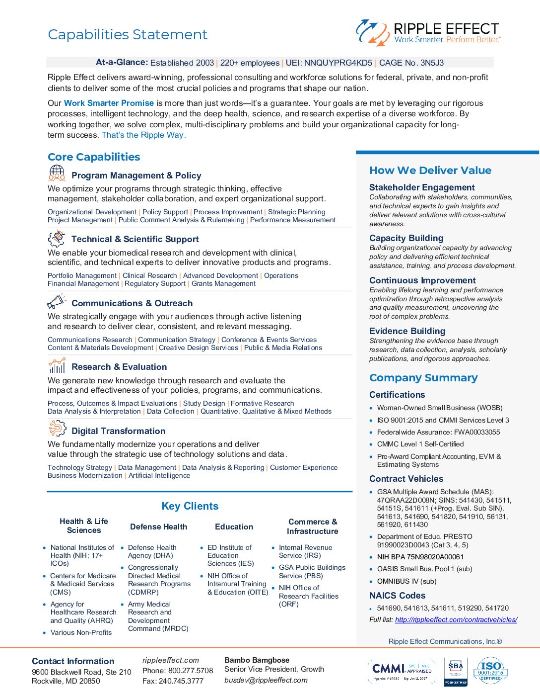 Capabilities Statement 5 INCREDIBLE Examples Of GREAT Capability